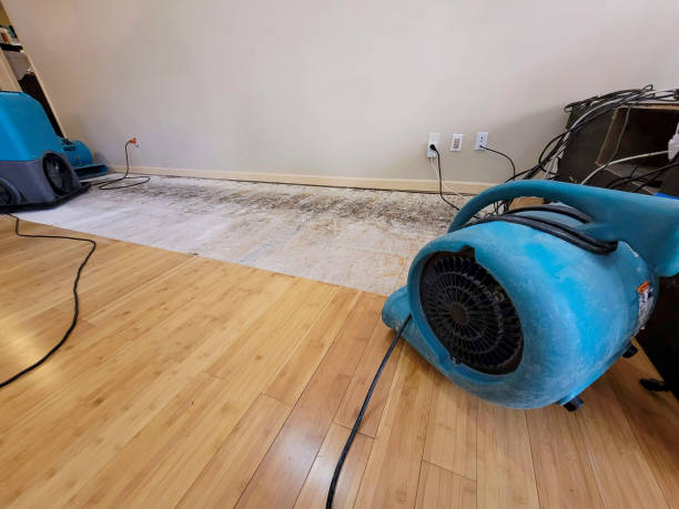 Professional Water Damage Repair technician working in Mitchell, SD